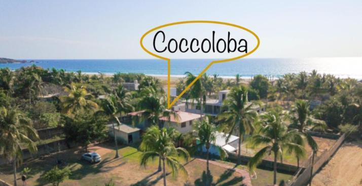 Coccoloba Guest House Пуерто Ескондидо Екстериор снимка